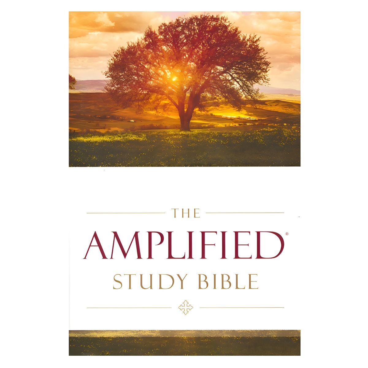 Amplified Study Bible, Hardcover