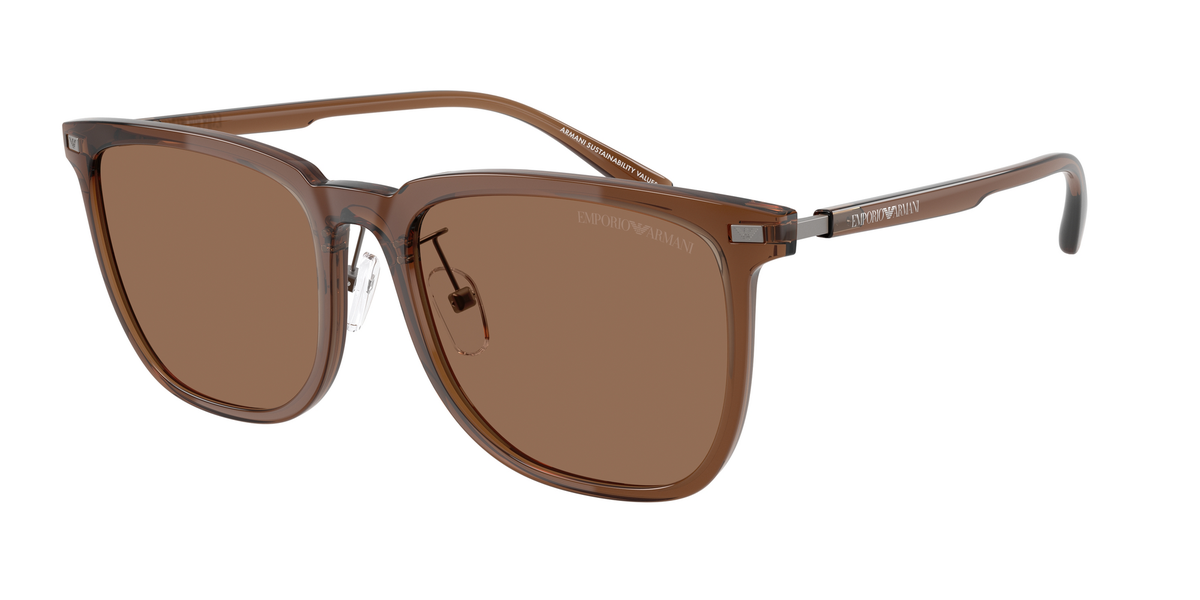 Emporio Armani 0EA4255D Sunglasses - Shiny Transparent Brown/Dark Brown